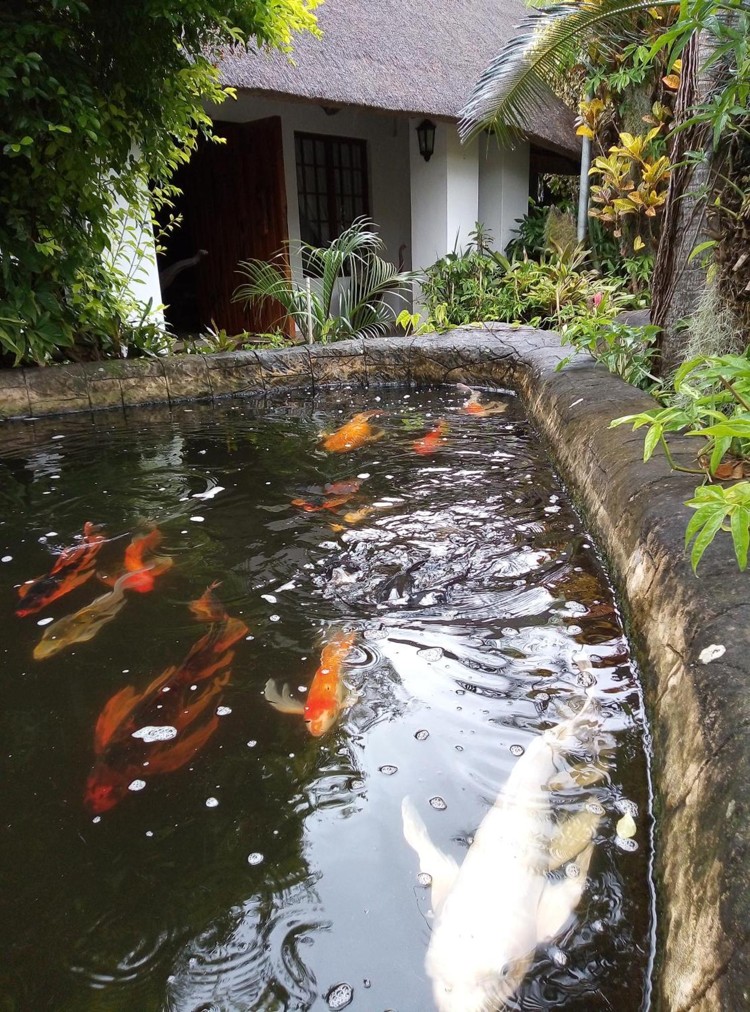 African Ambience Guest House St. Lucia Exterior photo