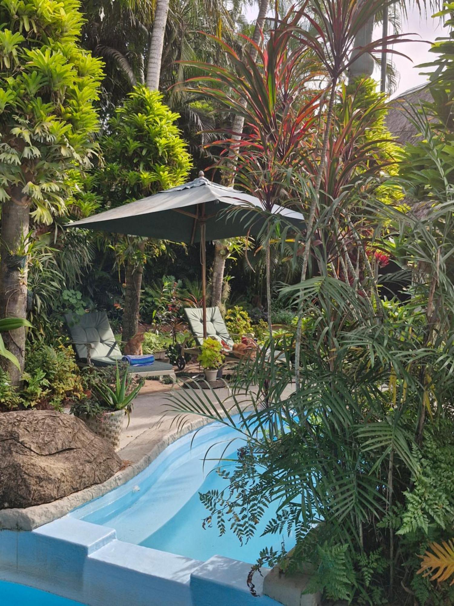 African Ambience Guest House St. Lucia Exterior photo