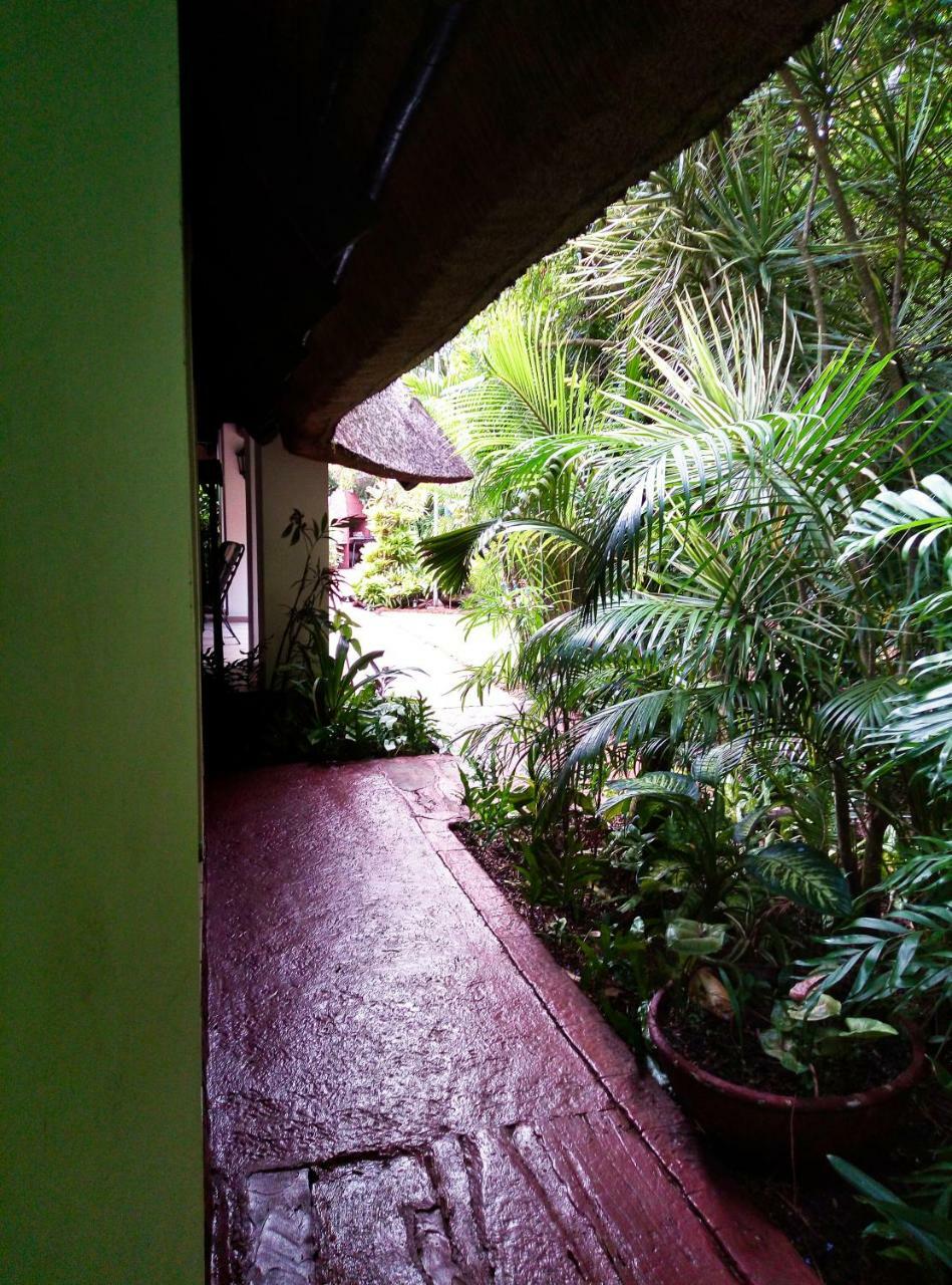 African Ambience Guest House St. Lucia Exterior photo
